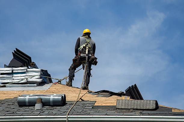 Professional Roof Replacement technician working in Weirsdale, FL